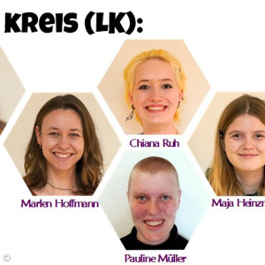 Leitender kreis